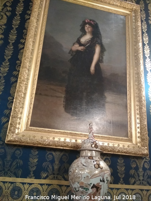 Goya - Goya. Reina María Luisa de Parma. Palacio Real de Madrid