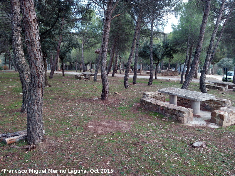 Área recreativa Torrecillas - Área recreativa Torrecillas. 