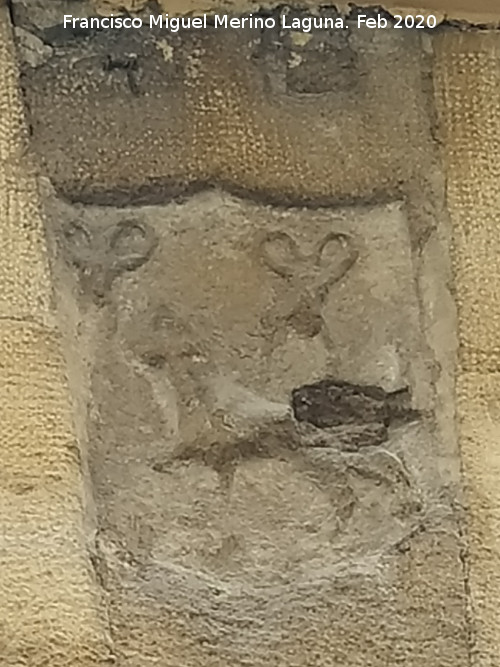 Teatro Ideal Cinema - Teatro Ideal Cinema. Escudo