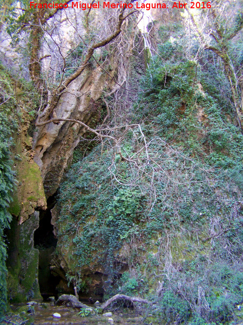 Caldera del Tío Lobo - Caldera del Tío Lobo. Entrada a la cavidad