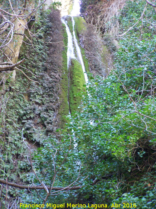 Caldera del Tío Lobo - Caldera del Tío Lobo. Cascada Alta