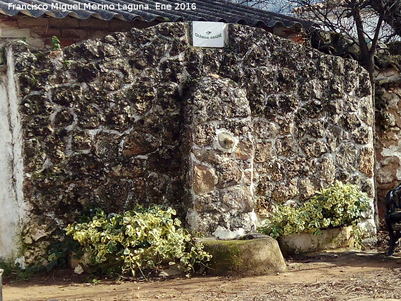 Fuente de Cañada Aranda - Fuente de Cañada Aranda. 