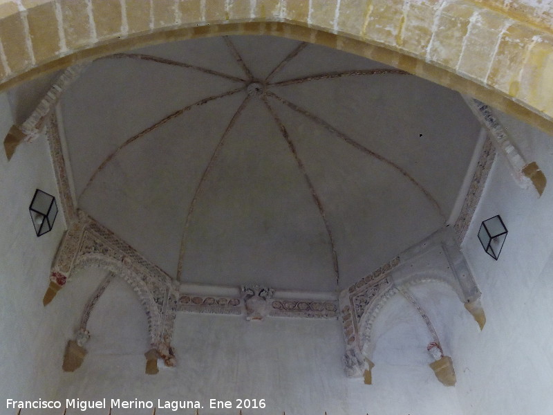 Catedral de Baeza. Capilla de San Rafael - Catedral de Baeza. Capilla de San Rafael. Cúpula nervada