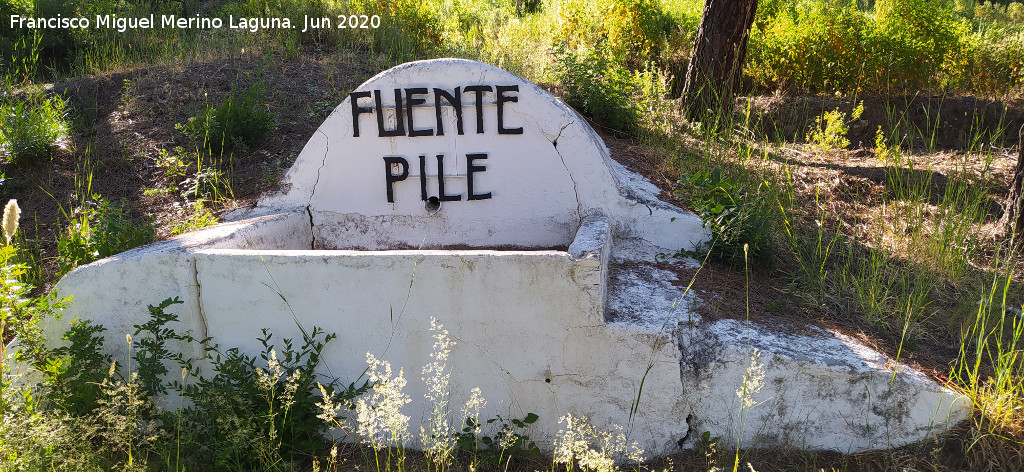 Fuente Pile - Fuente Pile. 