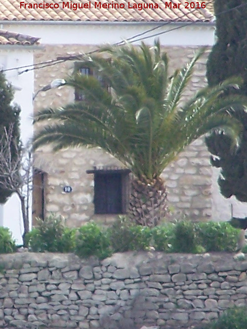 Cortijo de la Torrecilla de Monsalve - Cortijo de la Torrecilla de Monsalve. Edificación de piedra vista