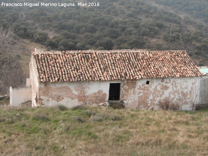 Cortijo de Matarratas - Cortijo de Matarratas. 