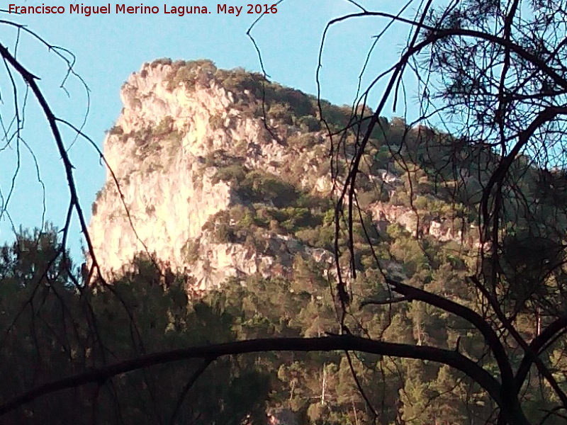 Piedra del Mulón - Piedra del Mulón. 