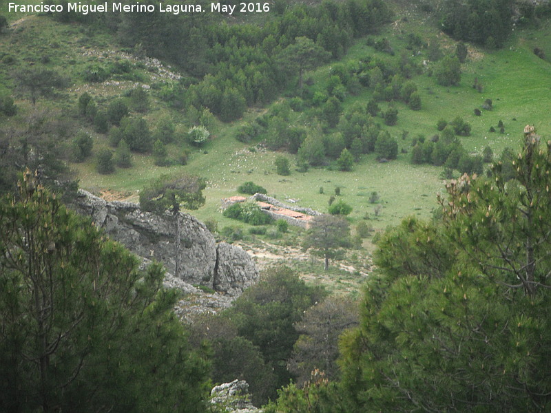 Tiná de las Hoyas - Tiná de las Hoyas. 