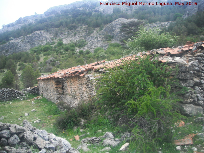 Tiná de las Hoyas - Tiná de las Hoyas. 