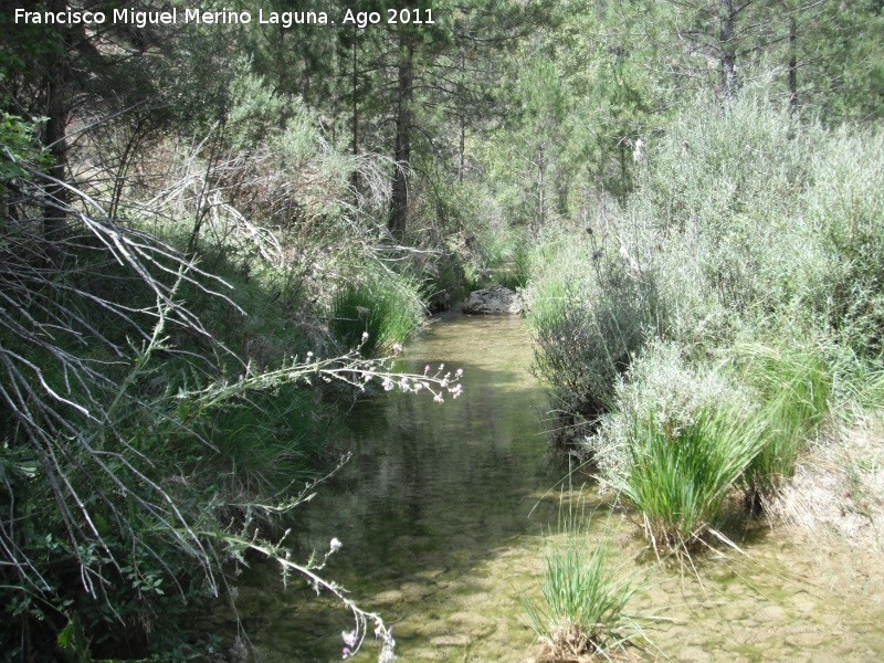 Río Madera - Río Madera. Venta de Rampias - Santiago Pontones