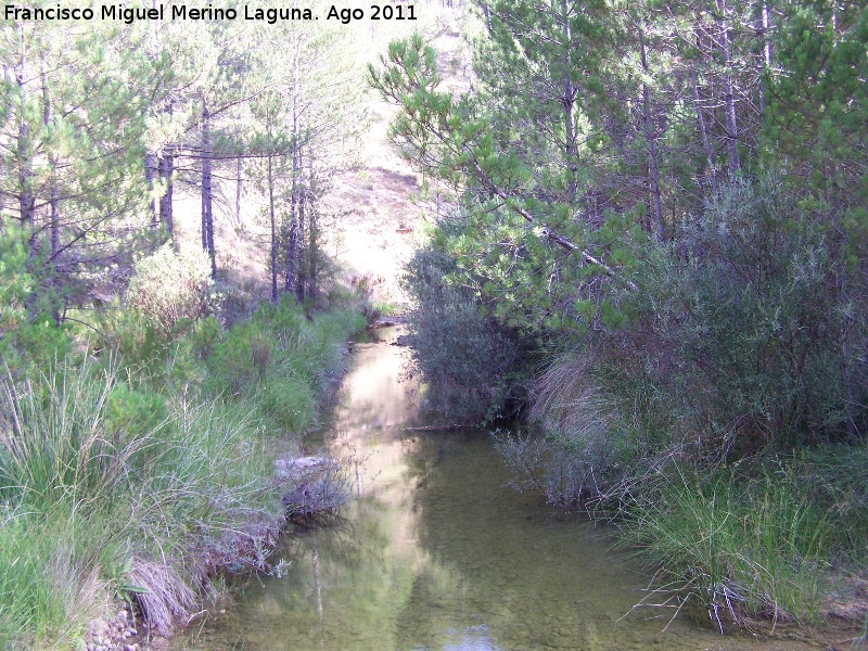 Río Madera - Río Madera. A la altura del Área recreativa La Morringa
