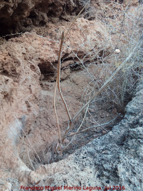 Cueva Alta de la Sepultura - Cueva Alta de la Sepultura. Tumba visigoda