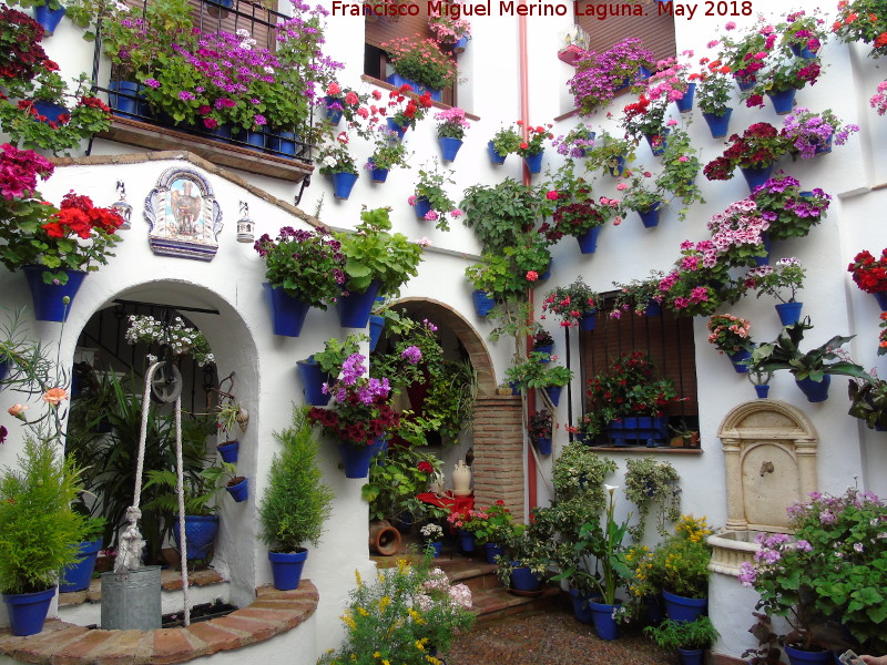 Casa de la Calle Alvar Rodríguez nº 11 - Casa de la Calle Alvar Rodríguez nº 11. Patio