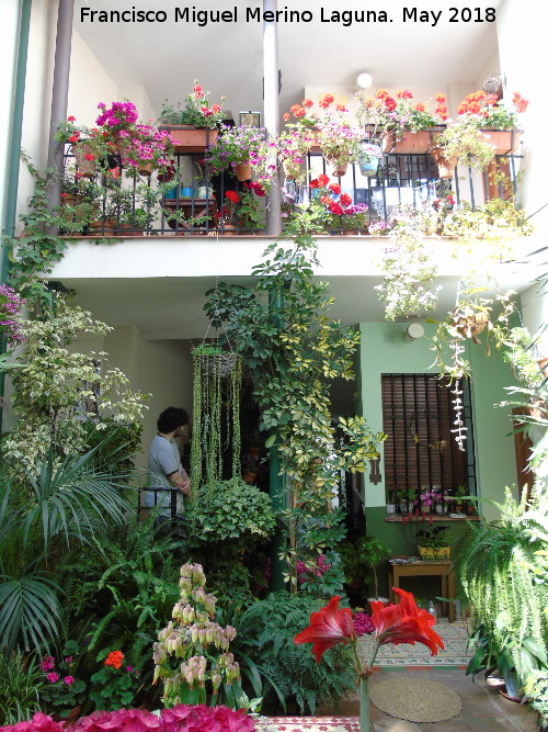 Casa de la Calle Alvar Rodrguez n 8 - Casa de la Calle Alvar Rodrguez n 8. Patio