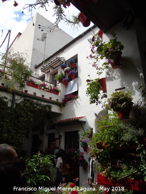 Casa de la Calle Mariano Amaya n� 4 - Casa de la Calle Mariano Amaya n� 4. Patio