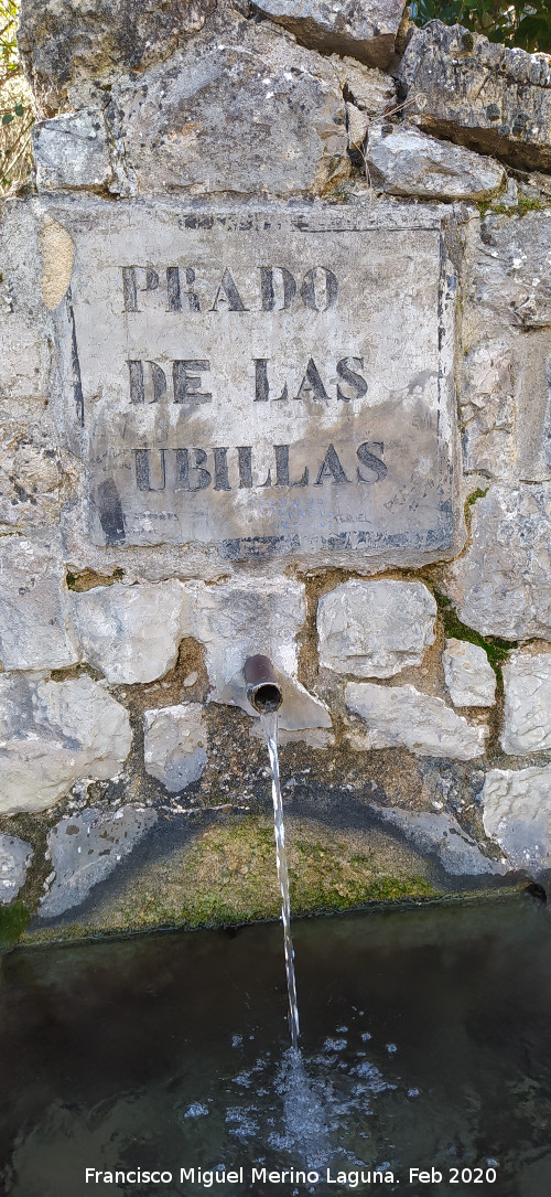 Fuente del Prado de las Ubillas - Fuente del Prado de las Ubillas. Cartel y ca�o