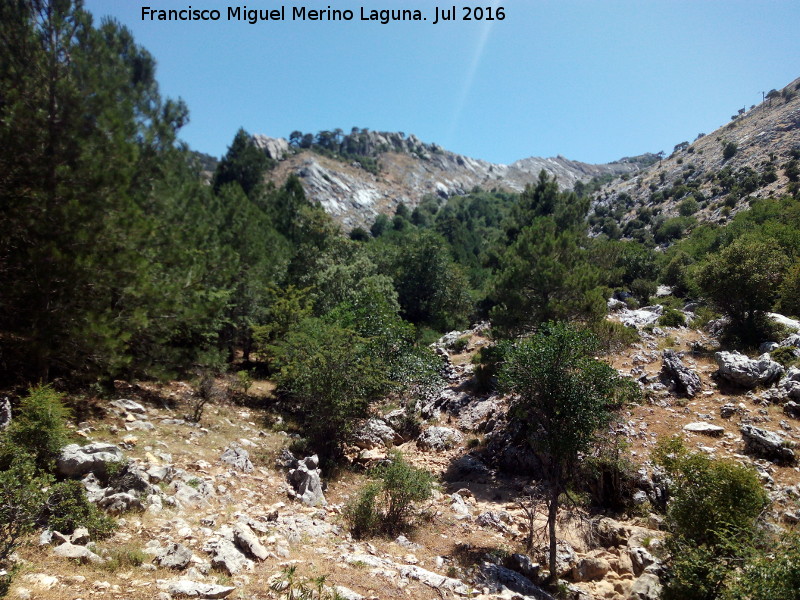 Barranco de la Cañada de las Fuentes - Barranco de la Cañada de las Fuentes. 