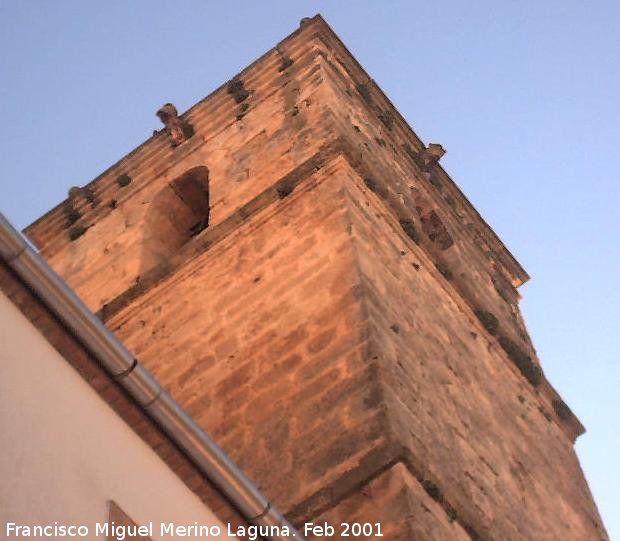 Iglesia de Santa Águeda - Iglesia de Santa Águeda. 