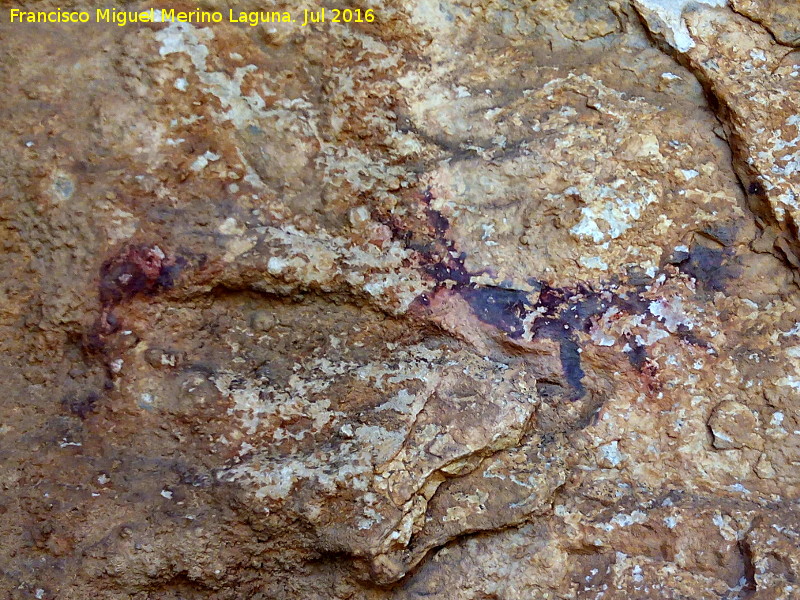 Pinturas rupestres del Arroyo de Tíscar I Grupo II - Pinturas rupestres del Arroyo de Tíscar I Grupo II. Mancha y cáprido