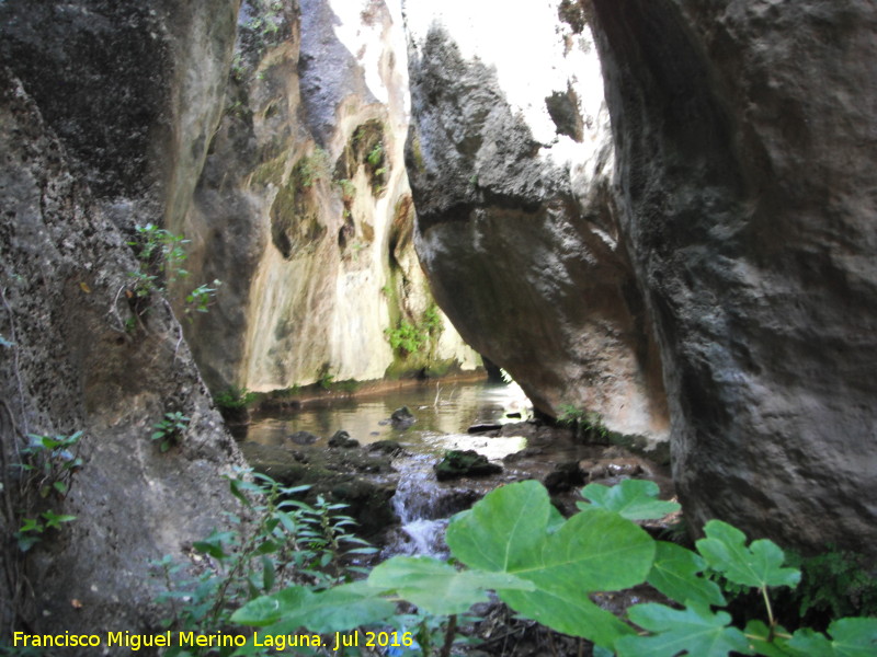 Cañón del Río Tíscar - Cañón del Río Tíscar. 