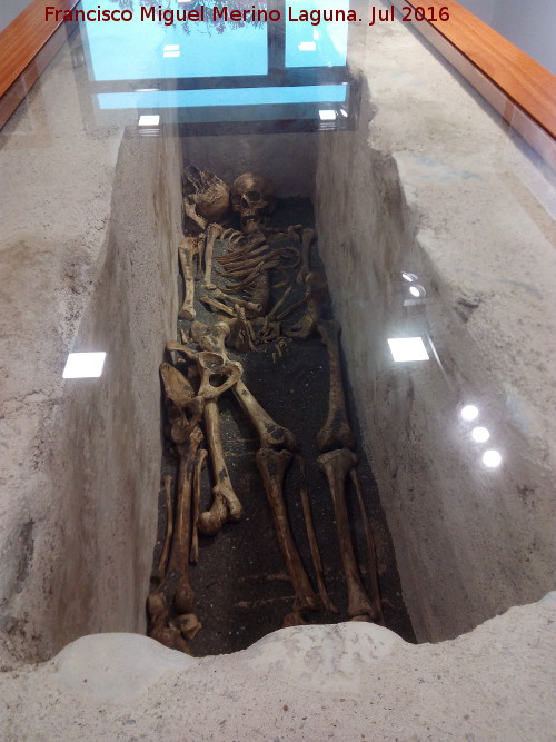 Factoría romana de Salazones y Necrópolis - Factoría romana de Salazones y Necrópolis. Museo del Faro de Torrox