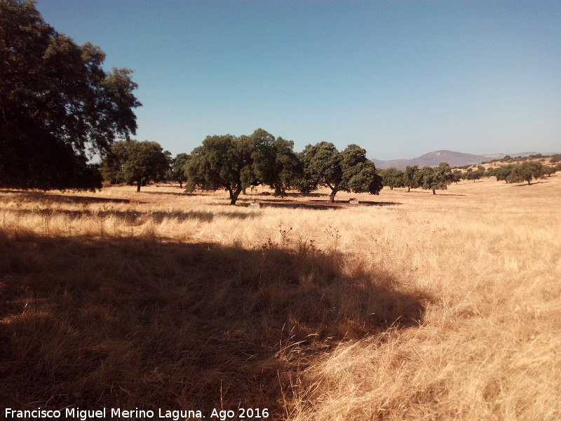 �rea recreativa La Carnicera - �rea recreativa La Carnicera. 