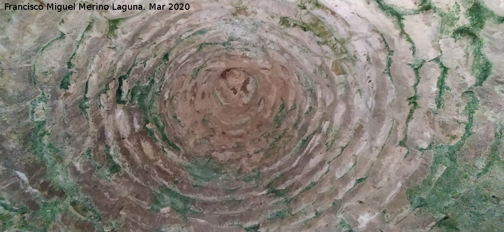 Caracol de la Ponderosa - Caracol de la Ponderosa. Bóveda