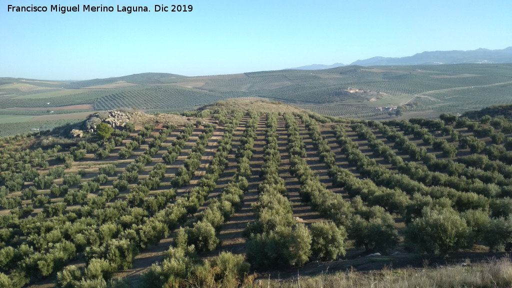Castell�n de Caviedes - Castell�n de Caviedes. Vistas