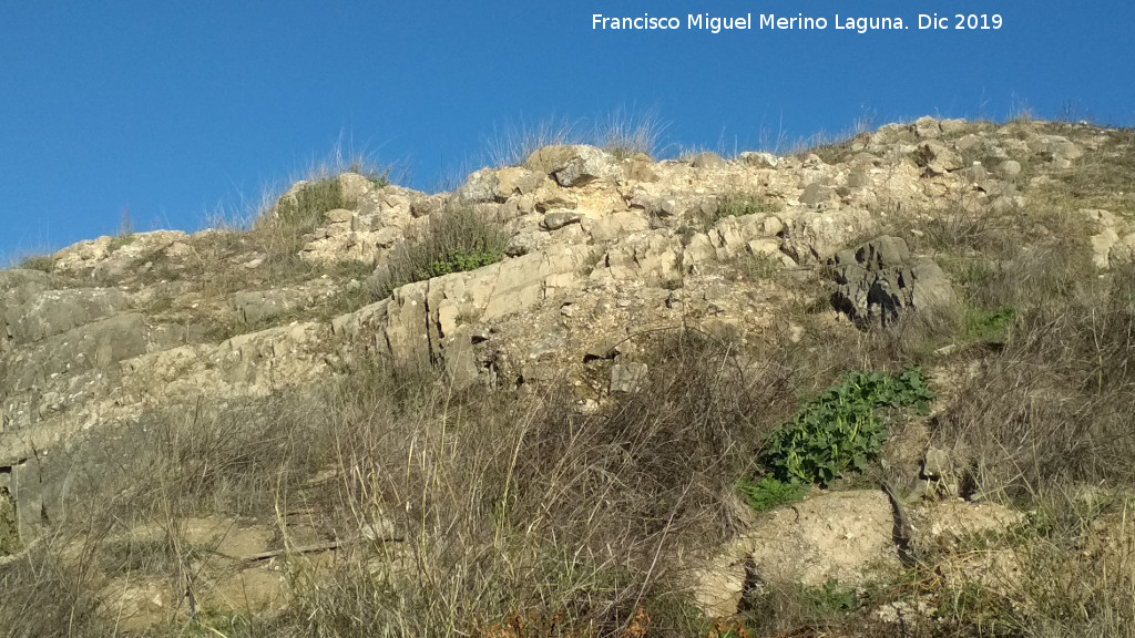 Castell�n de Caviedes - Castell�n de Caviedes. Muralla