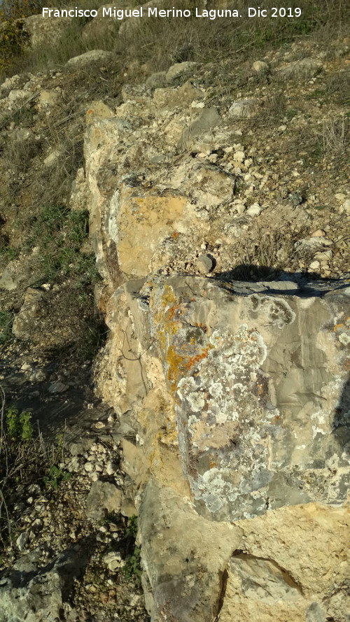 Castell�n de Caviedes - Castell�n de Caviedes. Muralla