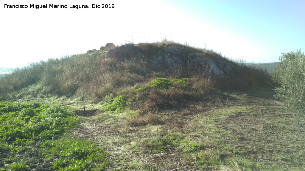 Castell�n de Caviedes - Castell�n de Caviedes. 