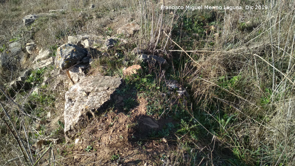 Castell�n de Caviedes - Castell�n de Caviedes. Muros