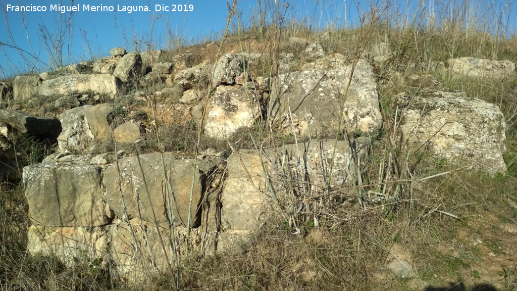 Castell�n de Caviedes - Castell�n de Caviedes. Muralla cicl�pea