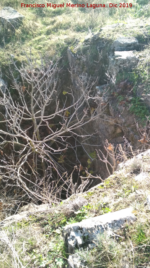 Castell�n de Caviedes - Castell�n de Caviedes. Hueco con �rbol