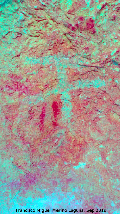 Pinturas rupestres del Abrigo de los Cañones II - Pinturas rupestres del Abrigo de los Cañones II. Tratada con Dstretch
