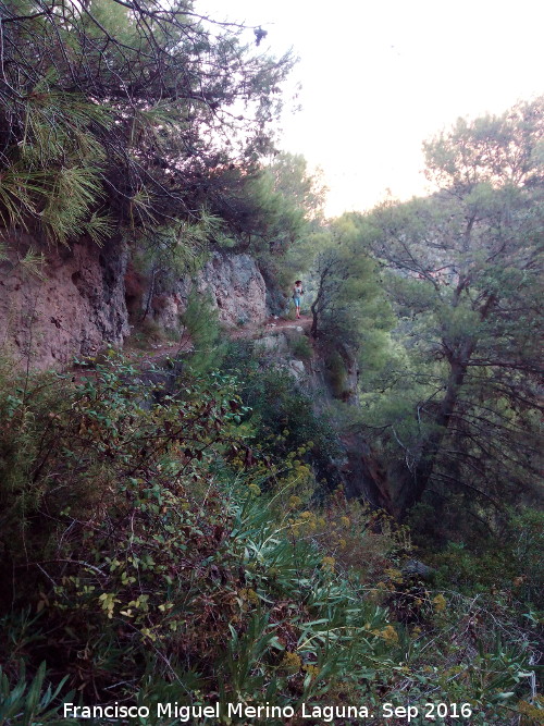 Camino de la Canalización de Otiñar - Camino de la Canalización de Otiñar. 