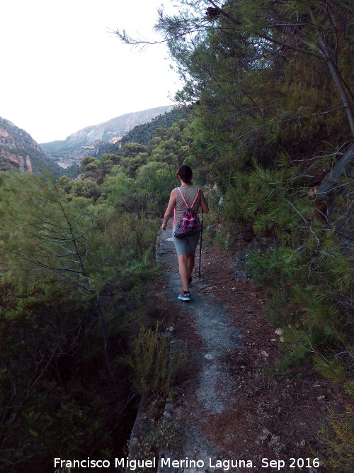 Camino de la Canalización de Otiñar - Camino de la Canalización de Otiñar. 
