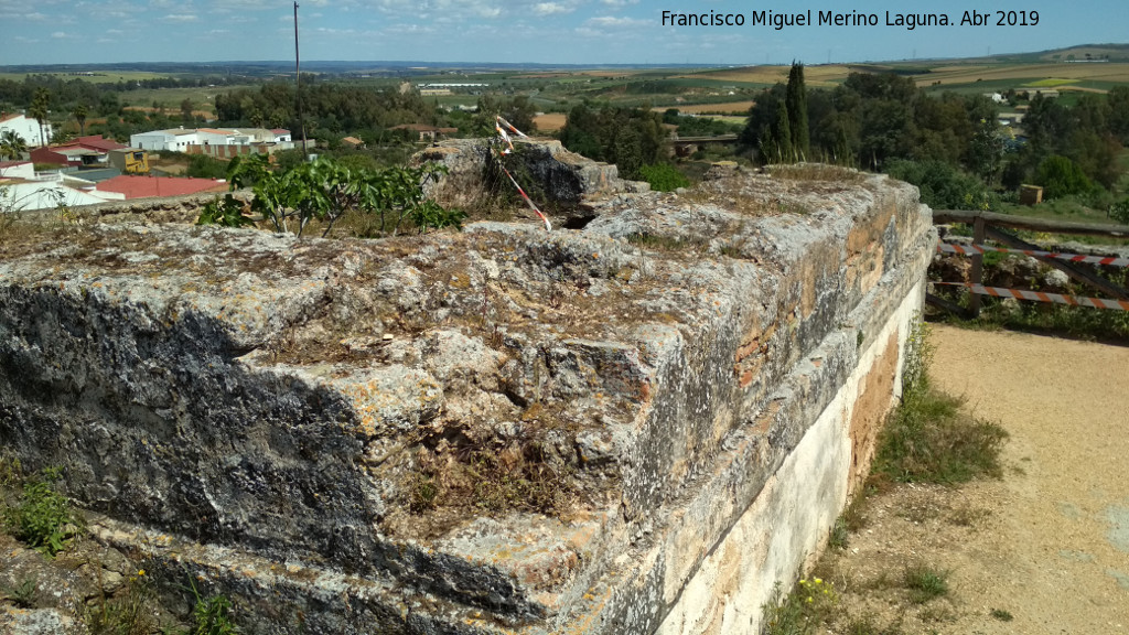 Castillo de los Guzmanes - Castillo de los Guzmanes. Vistas