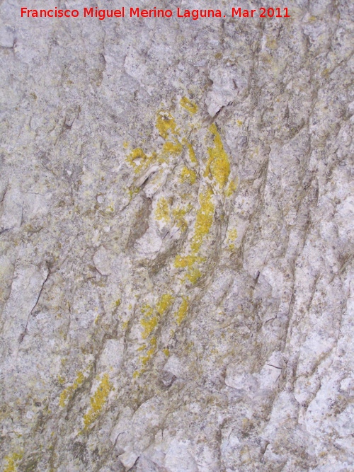 Pinturas rupestres de la Mella I - Pinturas rupestres de la Mella I. 