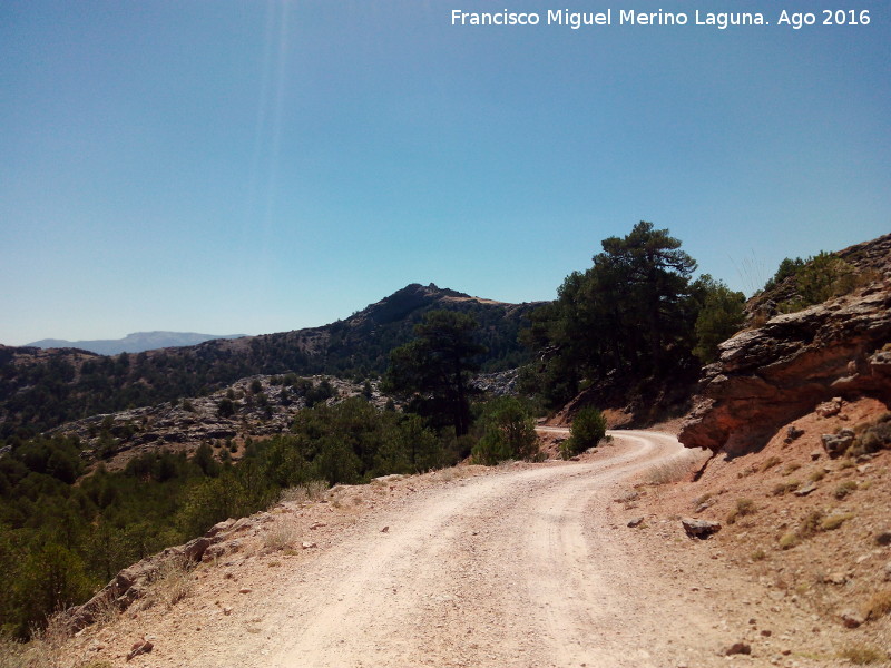 Cañada del Avellano - Cañada del Avellano. 