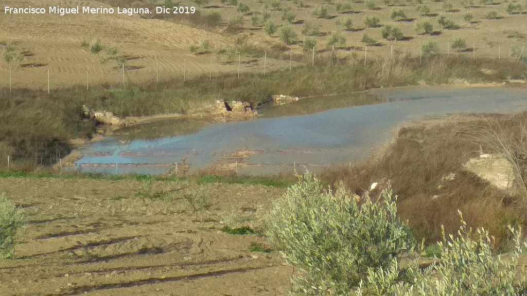 Salinas de Calder�n - Salinas de Calder�n. 