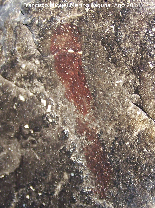 Pinturas rupestres del Abrigo I del Tío Serafín - Pinturas rupestres del Abrigo I del Tío Serafín. Barra
