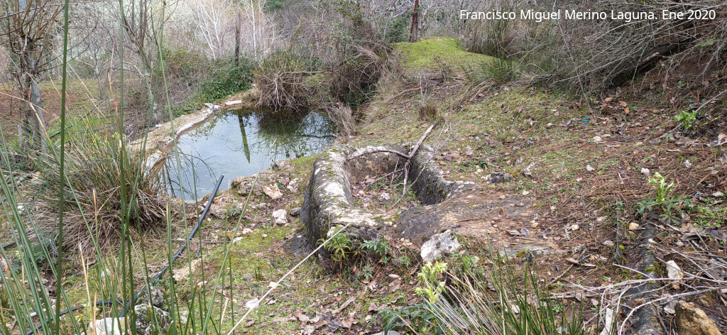 Fuentes de los Castellones del Valle - Fuentes de los Castellones del Valle. Alberca y la fuente antigua