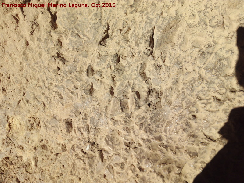 Pinturas rupestres del Abrigo de Río Frío II - Pinturas rupestres del Abrigo de Río Frío II. Suelo gastado