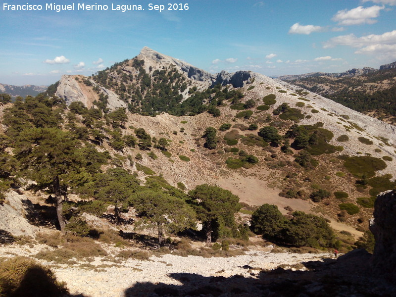 Nava Alta del Espino - Nava Alta del Espino. Al fondo el Aguilón del Loco