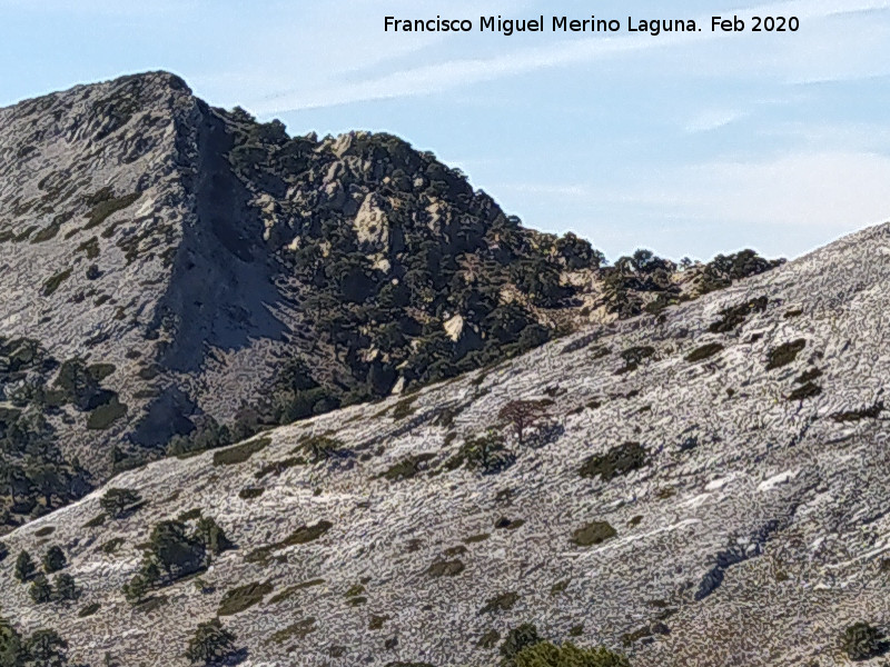 Nava Alta del Espino - Nava Alta del Espino. Desde la Loma de Cagasebo