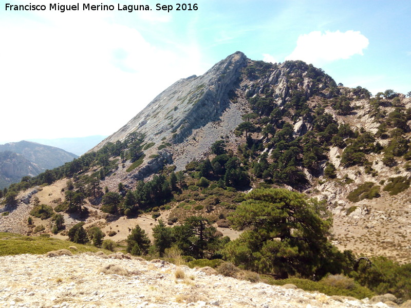 Nava Alta del Espino - Nava Alta del Espino. Al fondo el Peñón del Guante