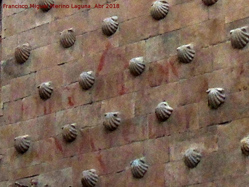Casa de las Conchas - Casa de las Conchas. Restos de vítores