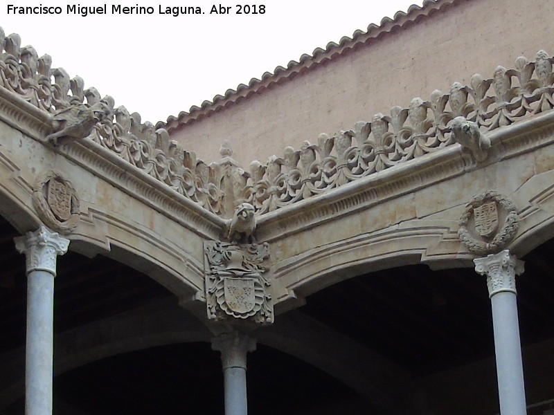 Casa de las Conchas - Casa de las Conchas. Gárgolas y escudos
