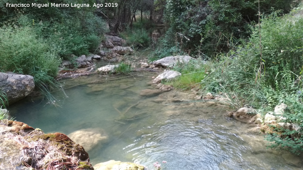 Río Cañamares - Río Cañamares. Por el final del sendero Río Cañamares
